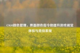 CSGO颜色管理，界面颜色指令助提升游戏视觉体验与竞技表现