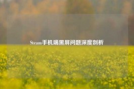 Steam手机端黑屏问题深度剖析