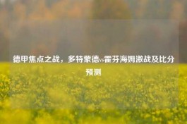 德甲焦点之战，多特蒙德vs霍芬海姆激战及比分预测