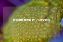 欧冠附加赛规则之9 - 24名全解析