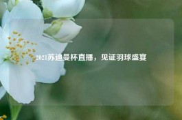 2021苏迪曼杯直播，见证羽球盛宴