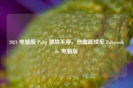 2021 电脑版 Pubg 激战不停，热血延续至 Pubgmobile 电脑版