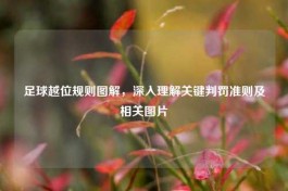 足球越位规则图解，深入理解关键判罚准则及相关图片