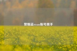 警惕盗steam账号黑手