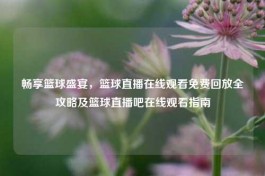 畅享篮球盛宴，篮球直播在线观看免费回放全攻略及篮球直播吧在线观看指南