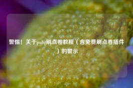 警惕！关于pubg刷点卷教程（含免费刷点卷插件）的警示