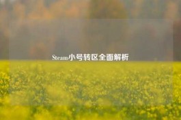 Steam小号转区全面解析