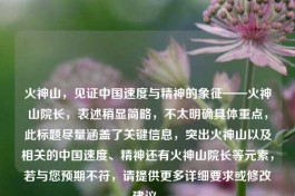 火神山，见证中国速度与精神的象征——火神山院长，表述稍显简略，不太明确具体重点，此标题尽量涵盖了关键信息，突出火神山以及相关的中国速度、精神还有火神山院长等元素，若与您预期不符，请提供更多详细要求或修改建议。