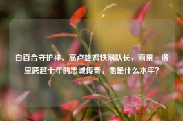 白百合守护神、高卢雄鸡铁闸队长，雨果·洛里跨越十年的忠诚传奇，他是什么水平？