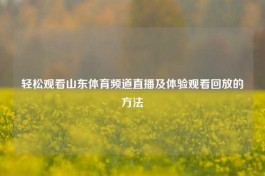 轻松观看山东体育频道直播及体验观看回放的     