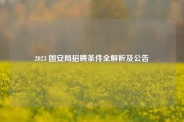 2023 国安局     条件全解析及公告