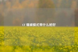 CF 爆破模式带什么枪好