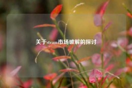 关于steam市场破解的探讨
