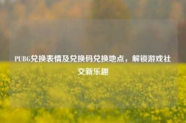 PUBG兑换表情及兑换码兑换地点，解锁游戏社交新乐趣