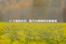 CF 兰秘密内衣，魅力与神秘的交融展现