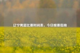 辽宁男篮比赛时间表，今日观赛指南