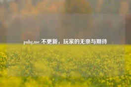 pubg.me 不更新，玩家的无奈与期待