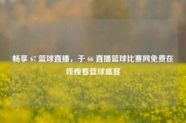 畅享 67 篮球直播，于 66 直播篮球比赛网免费在线观看篮球盛宴