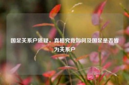 国足关系户质疑，真相究竟如何及国足是否皆为关系户