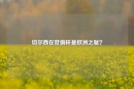 切尔西在世俱杯是欧洲之耻？