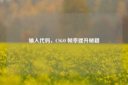 输入代码，CSGO 帧率提升秘籍