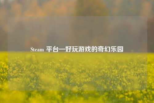 Steam 平台—好玩游戏的奇幻乐园