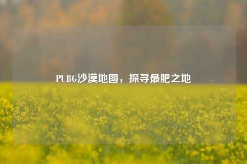 PUBG沙漠地图,探寻最肥之地