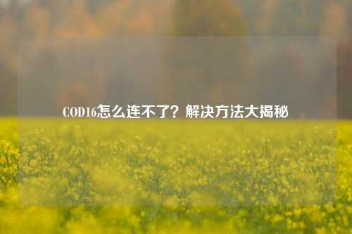 COD16怎么连不了?解决方法大揭秘