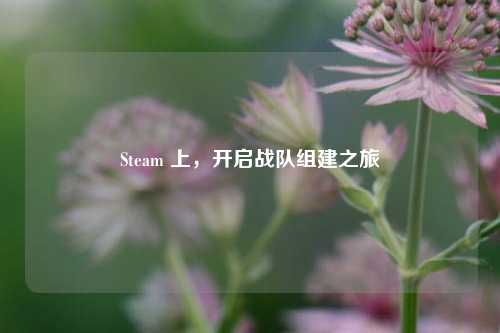 Steam 上,开启战队组建之旅