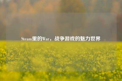 Steam里的War,战争游戏的魅力世界