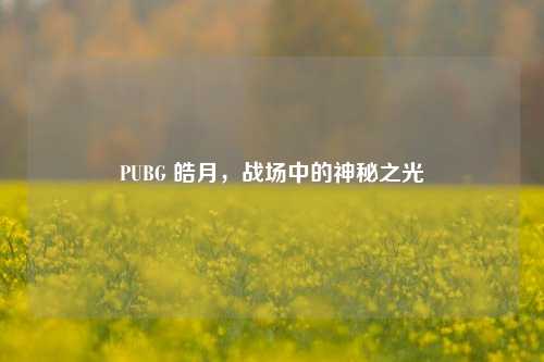 PUBG 皓月,战场中的神秘之光