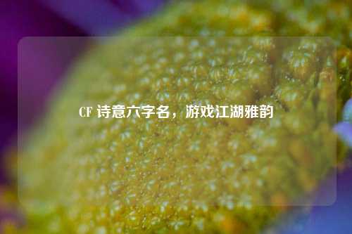 CF 诗意六字名,游戏江湖雅韵