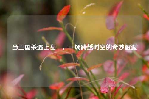 当三国杀遇上左棻,一场跨越时空的奇妙邂逅