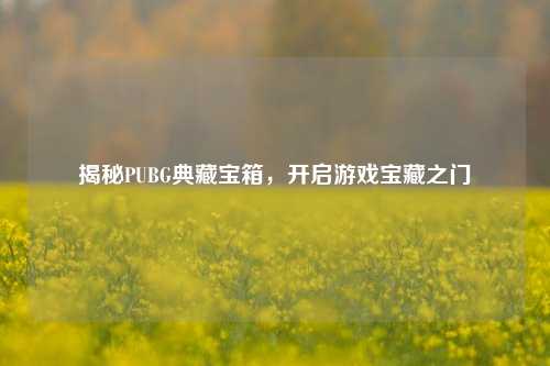 揭秘PUBG典藏宝箱,开启游戏宝藏之门