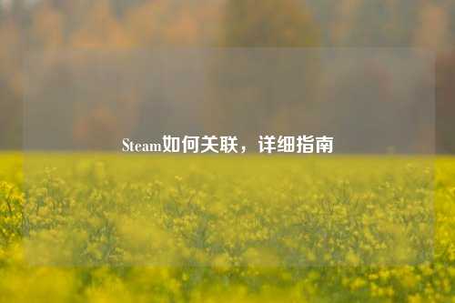 Steam如何关联,详细指南