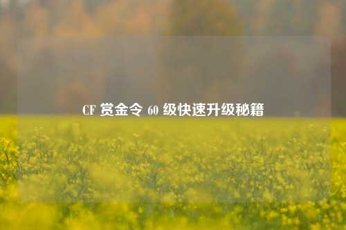 CF 赏金令 60 级快速升级秘籍