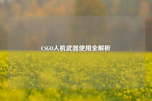 CSGO人机武器使用全解析