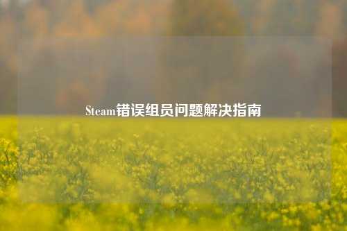 Steam错误组员问题解决指南