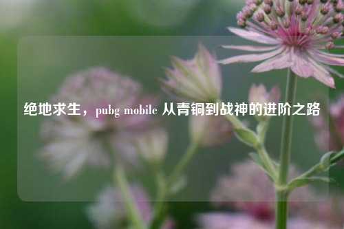绝地求生,pubg mobile 从青铜到战神的进阶之路