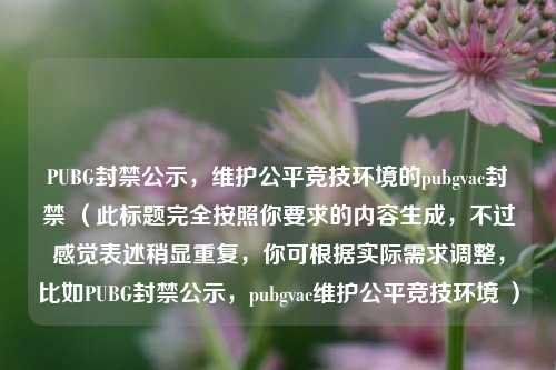 PUBG封禁公示,维护公平竞技环境的pubgvac封禁 (此标题完全按照你要求的内容生成,不过感觉表述稍显重复,你可根据实际需求调整,比如PUBG封禁公示,pubgvac维护公平竞技环境 )