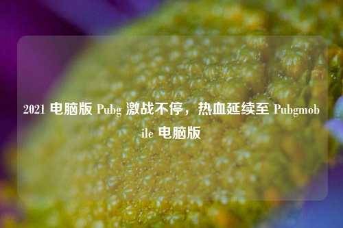 2021 电脑版 Pubg 激战不停,热血延续至 Pubgmobile 电脑版