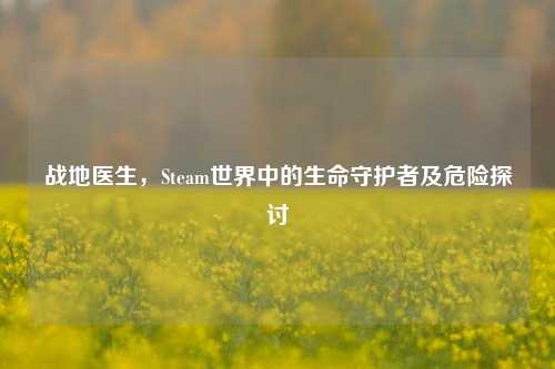 战地医生,Steam世界中的生命守护者及危险探讨