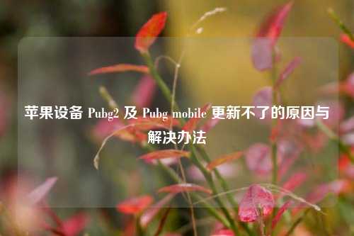 苹果设备 Pubg2 及 Pubg mobile 更新不了的原因与解决办法