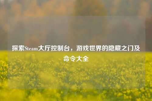 探索Steam大厅控制台,游戏世界的隐藏之门及命令大全