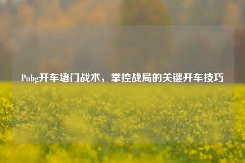 Pubg开车堵门战术,掌控战局的关键开车技巧