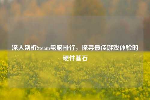 深入剖析Steam电脑排行,探寻更佳游戏体验的硬件基石