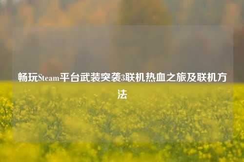 畅玩Steam平台武装突袭3联机热血之旅及联机 ***