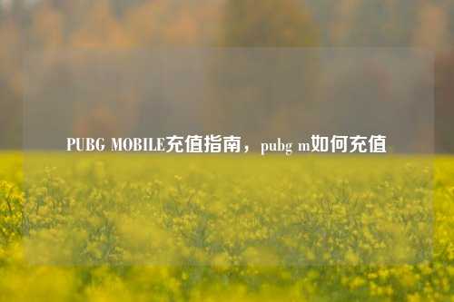 PUBG MOBILE充值指南,pubg m如何充值