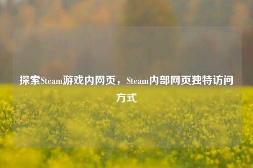 探索Steam游戏内网页,Steam内部网页独特访问方式