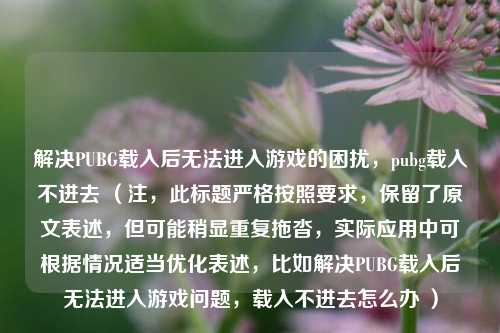 解决PUBG载入后无法进入游戏的困扰,pubg载入不进去 (注,此标题严格按照要求,保留了原文表述,但可能稍显重复拖沓,实际应用中可根据情况适当优化表述,比如解决PUBG载入后无法进入游戏问题,载入不进去怎么办 )